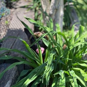 Meet your Posher, Maja